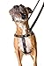 2 Hounds Design Freedom No-Pull Dog Harness with Leash, Large, 1-Inch Wide, Raspberry