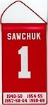 Terry Sawchuk Detroit Red Wings Mini Retirement Banner