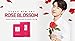 JAYJUN Rose Blossom Mask (10 Sheets) – Rose Water, Betaine & Allantoin for Soothing Hydration Skin 0.84 fl. oz.