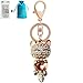 Bro'Bear Cute Kitten Sparkling Keychain Blingbling Crystal Rhinestone Handbag Charm for Cat Animal Lovers Diamond Kitty Key Ring/Chain Holder Purse Car Hanging Pendant Decoration Gift (Champagne)