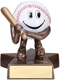 Amazon.com: Trophies, Medals & Awards - Accessories