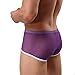 FEESHOW Men's Soft Sheer Mesh Boxer Briefs Shorts Underwear Lingerie Panties (Purple, M)