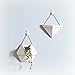 Hanging Planter for Indoor Plants, Geometric Wall Decor Container - Great for Succulent Plants, Air Plant, Faux Plants,White Ceramic/Brass