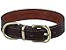 Tellpet Real Leather Dog Collar, Brown, Small