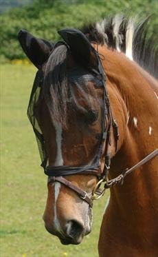 equilibriumNet Relief Riding Mask-Black Extra Large