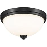 Z-Lite 2 Light Flush Mount 443F2-MB, Matte Opal,13" Round