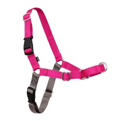 PetSafe Easy Walk No-Pull Dog Harness - The Ultimate Harness to Help Stop Pulling - Take Control & Teach Better Leash Manners - Helps Prevent Pets Pulling on Walks, Small, Raspberry/Gray