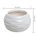 Set of 2 Round White Ceramic Textured Succulent Planter Pots/Decorative Herb Container Pots - 3.5 Inch