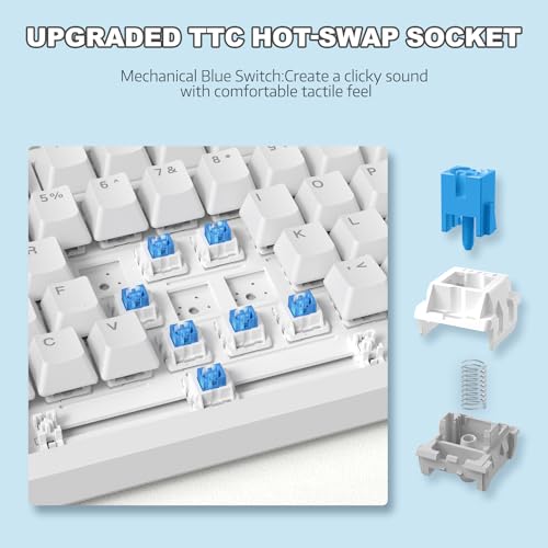 ATTACK SHARK Ajazz AK820 Mechanical Keyboard with with CNC Knob Control,75% Gasket Mount Keyboard and Detachable USB Wired Gaming Keyboard for Wind/Mac,Blue Light,NKRO,Blue Clicky Switch(White)