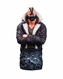 DC Collectibles The Dark Knight Rises: Bane Winter Battle Bust