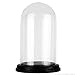 CYS EXCEL Glass Dome Cloche (H:9.25