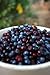 Huckleberry Haven Wild Huckleberry Jam 11 oz.