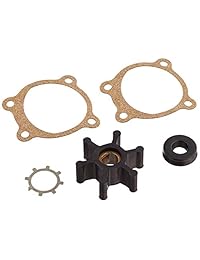 Wayne 66059 wyn1 PC2 Pincel y impulsor Kit