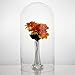 CYS EXCEL Glass Dome, Cloche Jewelry Holder, Rose Display Case, Cloche Bell Jar Terrarium, 18.5