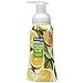 Softsoap Foaming Hand Soap, Kitchen Citrus Bliss, 8 Ounce (29280)