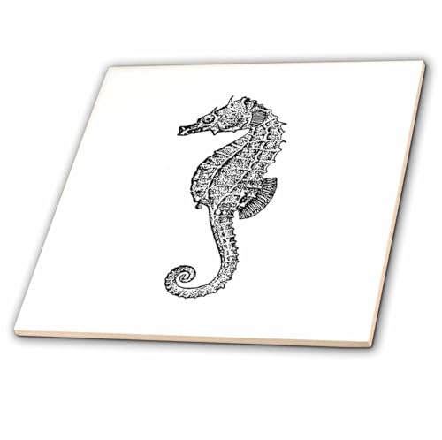 3dRose ct_164955_2 Seahorse Vintage Black and White Illustration Ocean Aquarium…