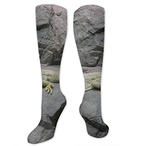 Bearded Dragon Lizards Polyester Cotton Over Knee Leg High Socks Cute Unisex Thigh Stockings Cosplay Boot Long Tube Socks for Sports Gym Yoga Hiking Cycling Running Soccer