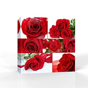 Beautiful Flowers Pictures Home Wall for Bedroom Living...