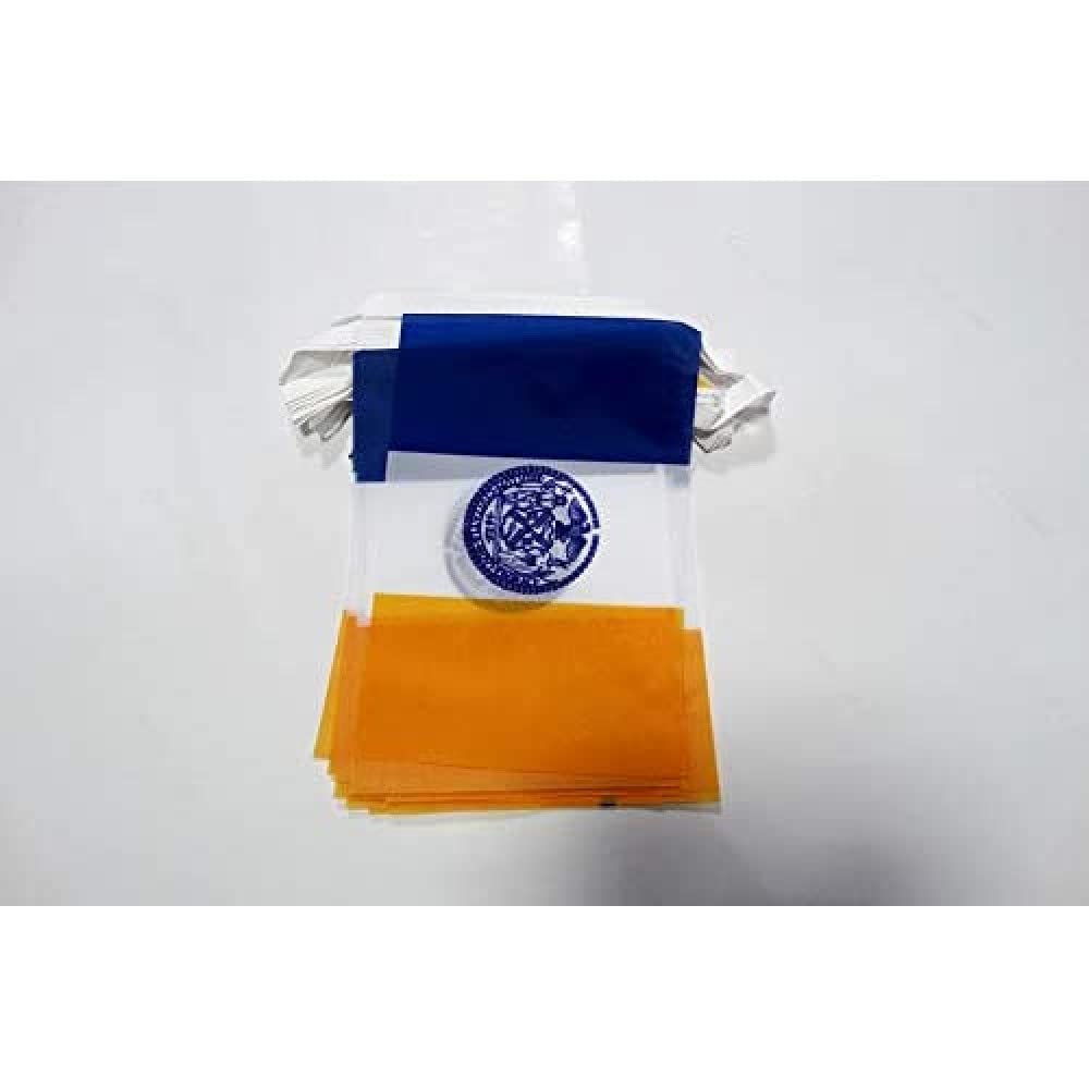 AZ FLAG New York City Bunting Flag, 20 Ft Garland 20 Small New York Flags 8'' x 6'', 100% Polyester String Pennant, 6 meters