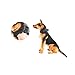 Pettom Tactical Dog Adjustable Collar Military Training Molle Nylon Dog Collar Leash With Handle Steel Buckle 1.5'' (L, Black)