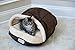 Armarkat Slipper Shape Pet Bed, Mocha, C05HKF/MH