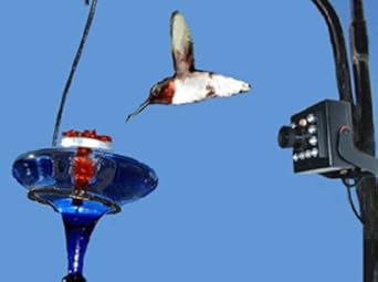 Amazon.com: Hawk Eye High Definition Nature Cam Bird