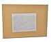 PSBM Clear Packing List Back Side Loading Plain Face Envelopes Pouches (7.5