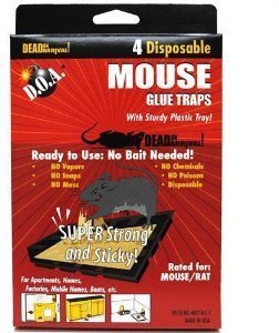Glue Mouse Trays 4pk Size Ea