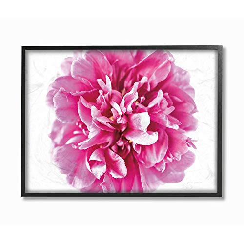Stupell Industries Pink Pop Flower Petals Pink Curves Photograph