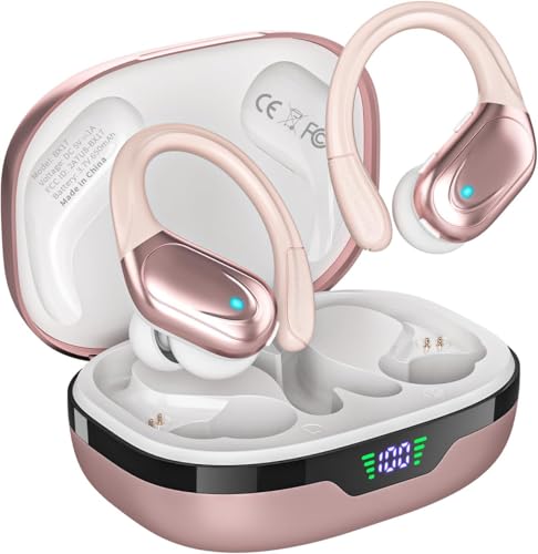 HAOYUYAN Wireless Earbuds Bluetooth Headphones 80hrs Playback Ear Buds Power Display with Noise Canceling Mic Headsets for Sports/Workout/Running