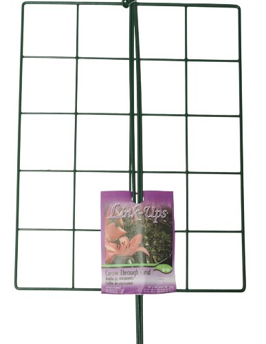 Luster Leaf (970) 24” x 18” Rectangle Grow Through Grid w/ 30” legs
