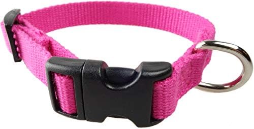 Eco friendly dog collars Clearance