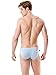 N2N Bodywear Lounge Brief L12