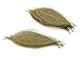 NAVA CHIANGMAI Rubber Tree Leaves - Pack of 100 Skeleton Leaves Decorative DIY Craft , Artificial Leaves Craft Card Scrapbook DIY Handmade Embellishment Decoration Art (Gold)