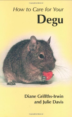 How to Care for Your Degu (Your First...series)