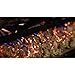 Regal Flame Platimum 7 oz Bright Rock Wool Gas Fireplace Glowing Embers for Gas Logs with Vermiculite Granules