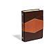 Reina Valera 1960 Biblia de Estudio Holman, chocolate/terracota, símil piel | RVR 1960 1960 Holman Study Bible, LeatherTouch (Spanish Edition)