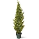 National Tree Arborvitae Tree with Dark Green Round Plastic Pot, 48-Inch