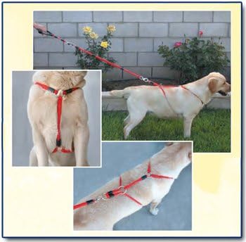 xtreme dog harness
