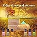 Purest Natural Essential Oil Diffuser - Best Cool Mist Electric Aroma Spa Ultrasonic Aromatherapy Humidifier - Auto Shut-Off & 7 Color LED Lights Engrain
