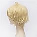 Flovex Short Straight Anime Cosplay Wigs Natural Sexy Costume Party Daily Hair (Light Blonde)