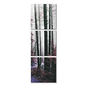 3 Panel Canvas Wall Art Birch Woods Pictures Home Wall Decorations for Bedroom Living Room Paintings Canvas Prints Framed - 12"x12"x3 Panels
