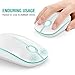 Jelly Comb 2.4G Slim Wireless Mouse with Nano Receiver, Less Noise, Portable Mobile Optical Mice for Notebook, PC, Laptop, Computer, MacBook MS001 (White and Green)