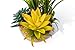 BEGONDIS Artificial Succulents Plants Plastic Fake Topiary Selected Combination with Gray Pot for Home Décor
