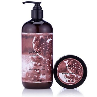 Wen By Chaz Dean Cleansing Conditioner Pomegranate 480ml Hair