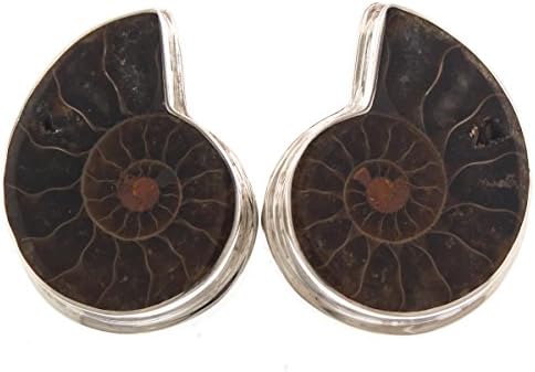 925 Sterling Silver Natural Fossil Madagascar Ammonite Clip-On Earrings