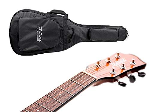 4 Monoprice+Idyllwild+Acoustic+Electric+Fishman