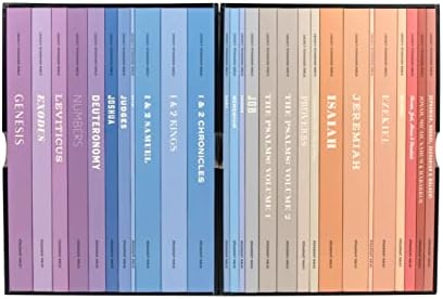 The New Interpreter's® Bible Commentary Ten Volume Set