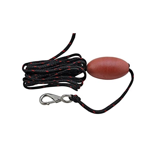 Extreme-Max-30066548-BoatTector-Complete-PWC-Anchor-Kit-with-Rope-Marker-Buoy-Storage-Bag