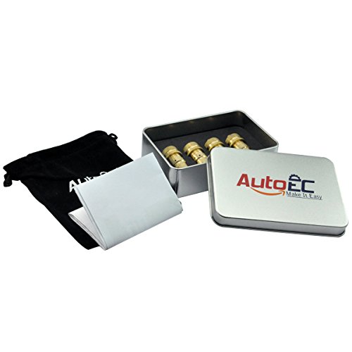 AutoEC Tire Deflator, Adjustable Brass Tyre Deflator Kit for Off Road